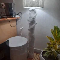 آباژور ایستاده با پاف