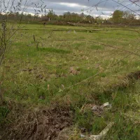 زمین ۳۳۸ متری برای سرمایه‌گذاری