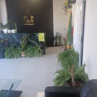 استخدام
