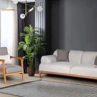 به یک رویه کوب ماهر