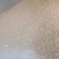 پوست بادام دامی