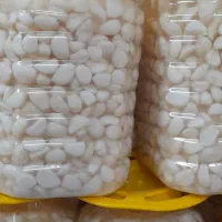 سیر ترشی مروارید صدفی درجه یک درشت امسالی|خوردنی و آشامیدنی|تهران, حکیمیه|دیوار