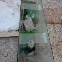 فروش آکواریوم