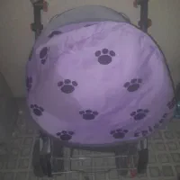 دو‌عدد‌کالسکه درحد|کالسکه و لوازم جانبی|ایوان, |دیوار