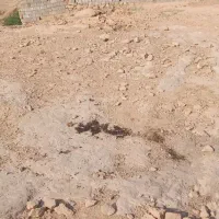 300مترزمین