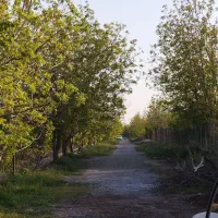 490متر-باغچه-در-باغستان-باباسلمان-رضی-آباد-بالا