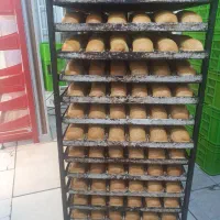 استخدام نیرو کار در کارخانه نان