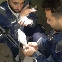 کارگر ساده و  نیروی فنی ساده