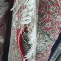 دو عدد فرش ۵۰۰شانه ۶متری ریزماهی اصل آکرولیک|فرش|نقده, |دیوار