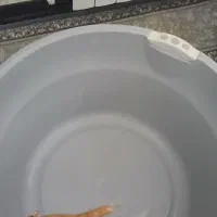 وان،لگن بزرگ