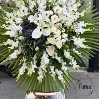 تاج گل|خدمات پذیرایی، مراسم|قزوین, |دیوار