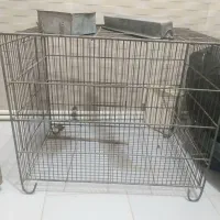قفس پرنده