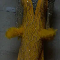 لباس مجلسی|لباس|سلماس, |دیوار