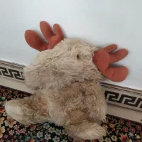 عروسک|اسباب‌‌بازی|بیجار, |دیوار