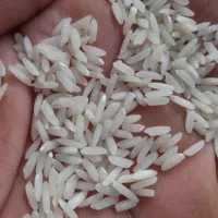 فروش وپخش برنج شمال بدون واسطه