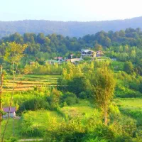 550متر زمین مسکونی کوهپایه جنگلی رو ارتفاع بهشتی|فروش زمین و ملک کلنگی|فومن, |دیوار