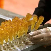 نیروی خانم برای کار بسته بندی نبات چوبی