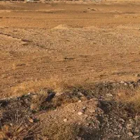 13-قصب-زمین-مسکونی