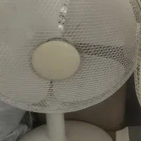 حراج حراج حراج|فرش|نیشابور, پنجراه|دیوار