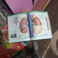 کتاب|کتاب و مجله آموزشی|تهران, ائمه اطهار|دیوار