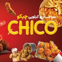 نیرو فست فود آقا