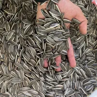 پخش تخمه خارجی کدو کشمش بادوم زمینی آجیل گردو