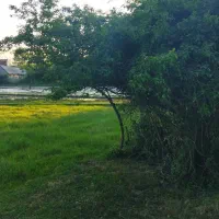 خونه کلنگی.سند. جاده انزلی روبروی بازار ماهی