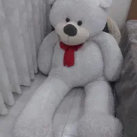 خرس ۲ متری|کلکسیون و سرگرمی|مشهد, هنرستان|دیوار