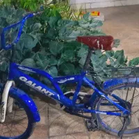 فروش دوچرخه