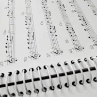 سازدهنی کروماتیک ایستاپ مدل کینگ دریم King Dream|سازهای بادی|بجنورد, |دیوار