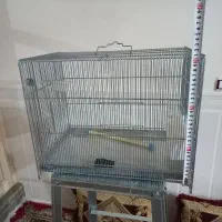 قفس چشمه ریز پاکدشت ۲ تومن