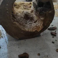 کارگاه روستیک در شیراز