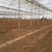 گلخانه فول آپشن در بهترین موقیت مکانی|اجارهٔ دفتر صنعتی، کشاورزی، تجاری|شاهین‌شهر, گرگاب|دیوار