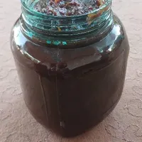 ترشی رب آلوچه محلی ترش تازه ارگانیک|خوردنی و آشامیدنی|رشت, سلیمانداراب|دیوار
