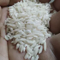 برنج هاشمی  و نیمدانه اعلا هاشمی