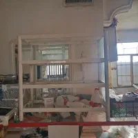 ویترین|فروشگاه و مغازه|فردیس, منظریه|دیوار