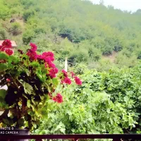 ویلا‌‌قیمت‌مناسب|اجارهٔ کوتاه‌مدت ویلا و باغ|رامیان, |دیوار