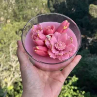 جار شمع گل و پاییزی