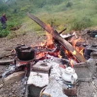 فروش-باغ-چای