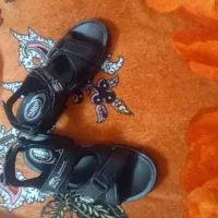 دمپایی کفش|کیف، کفش، کمربند|لردگان, |دیوار