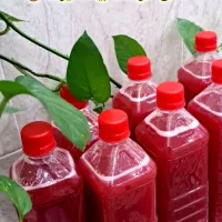 آب انار تازه بسیار خوشمزه وملس