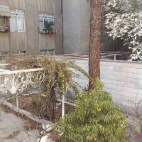 ۶۳ متری هم کف|اجارهٔ آپارتمان|تهران, نارمک جنوبی|دیوار