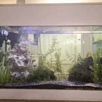 آکواریوم آب شیرین