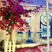 استخدام ۲پرسنل خانم برای آشپزی و باریستایی کافه