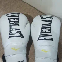 دستکش بوکس حرفه‌ای