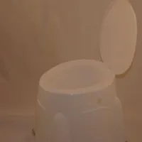 توالت فرنگی