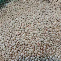 حبوبات نخود عدس لوبیا|خوردنی و آشامیدنی|مشهد, تبادکان|دیوار