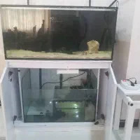 معاوضه آکواریوم آب شور