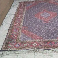 فرش دستبافت ۶ متری|فرش|اردبیل, |دیوار