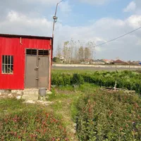فروش زمین ۱۲۰۰ متری براصلی کمربندی لنگرود به شلمان|فروش زمین و ملک کلنگی|لنگرود, |دیوار